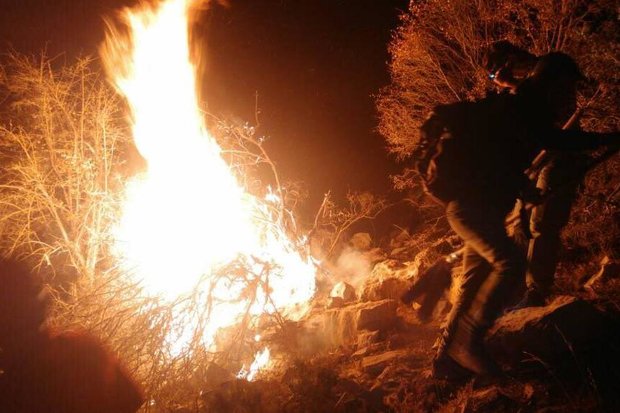 ورود مدعی العموم به آتش سوزی جنگل‌ها و مراتع منطقه کوهمره سرخی شیراز