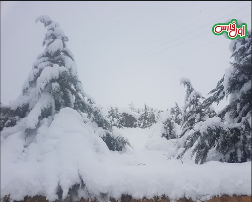 برف شیراز1