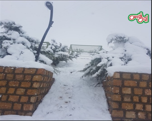 برف شیراز3