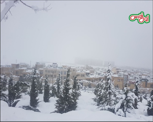برف شیراز4