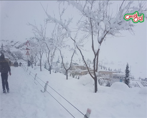 برف شیراز9