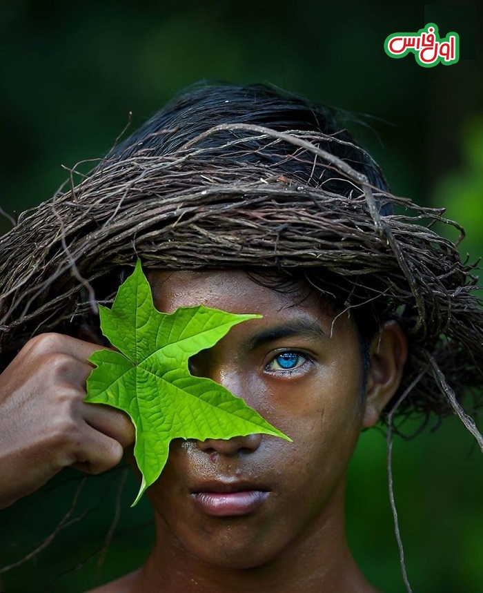 رنگ چشم آبی متالیک در اندونزی 10