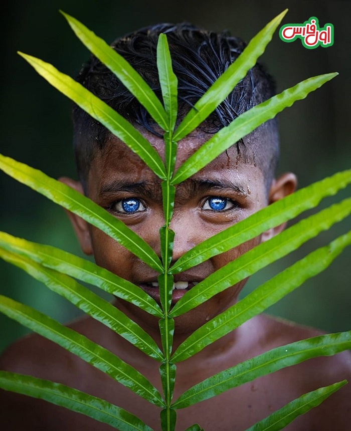 رنگ چشم آبی متالیک در اندونزی 7