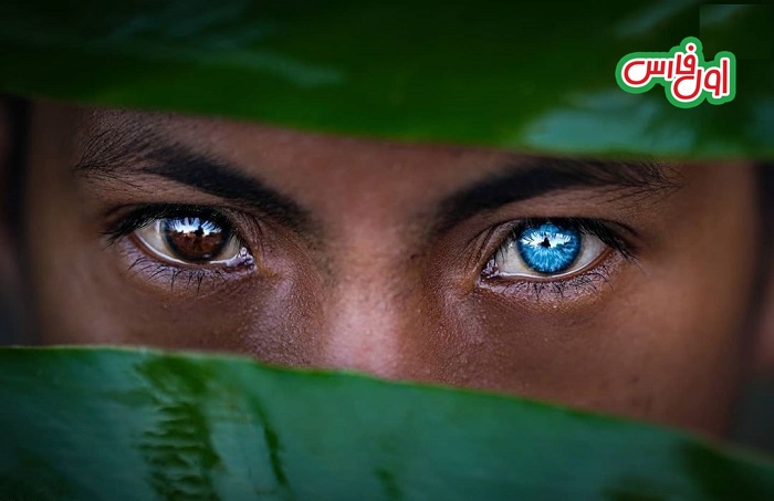 رنگ چشم آبی متالیک در اندونزی 9