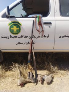 شکار پرندگان در ارسنجان فارس