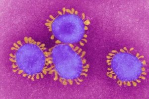 زمان پاک شدن بدن از کروناویروس