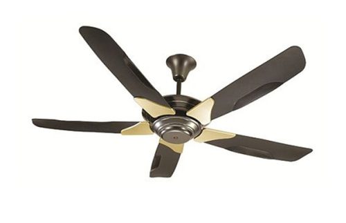 Important points to know before buying a fan 4