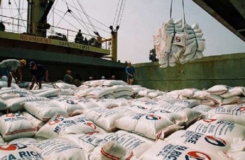 صادرات برنج