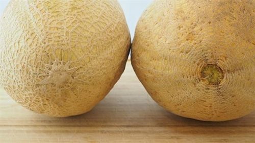 10 golden methods of distinguishing ripe and sweet cantaloupe from cantaloupe 1