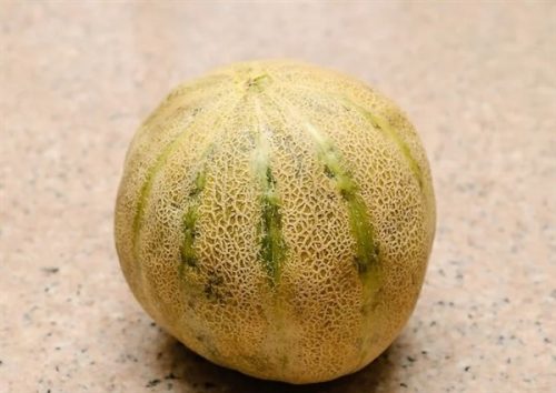10 golden methods of distinguishing ripe and sweet cantaloupe from cantaloupe 2