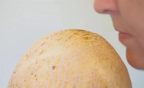 10 golden methods of distinguishing ripe and sweet cantaloupe from cantaloupe 6