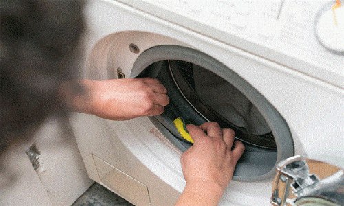 How to scale and disinfect the washing machine 1