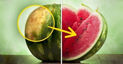 11 روش برای تشخیص هندوانه سرخ و شیرین/ظاهر هندوانه رسیده چگونه است؟