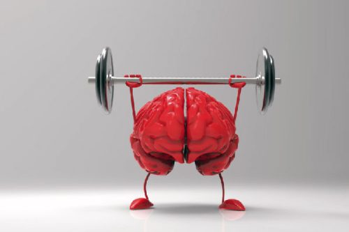 ورزش و مغز