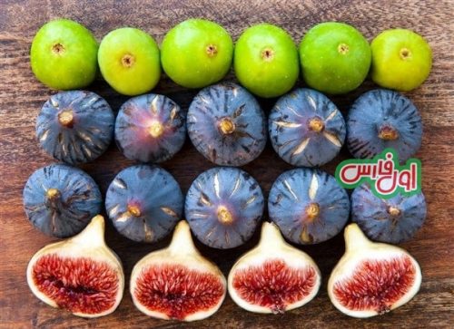 Incredible benefits and therapeutic effects of fresh figs and dried figs 6