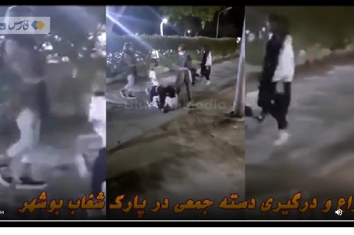 کلیپ جنجالی زد و خورد دختران نوجوان در پارک شغاب بوشهر