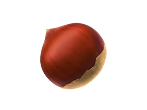 if you see an acorn youre wrong its actually a chestnut 768x576 1