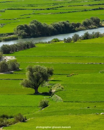 چند نمای زیبا از روستای چم سهراب خانی کامفیروز 6
