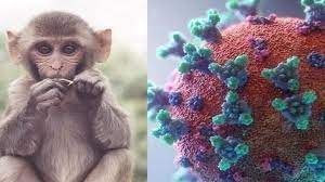  اولین تصاویر از ضایعه پوستی بیمار مبتلا به آبله میمونی در ایران