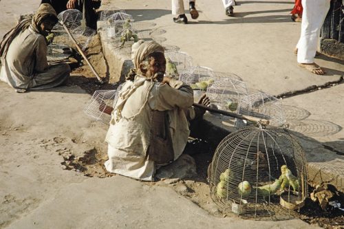 عکس‌هایی از زندگی مردم افغانستان در اواخر دوران سلطنت محمد ظاهرشاه 29