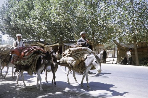 عکس‌هایی از زندگی مردم افغانستان در اواخر دوران سلطنت محمد ظاهرشاه 9