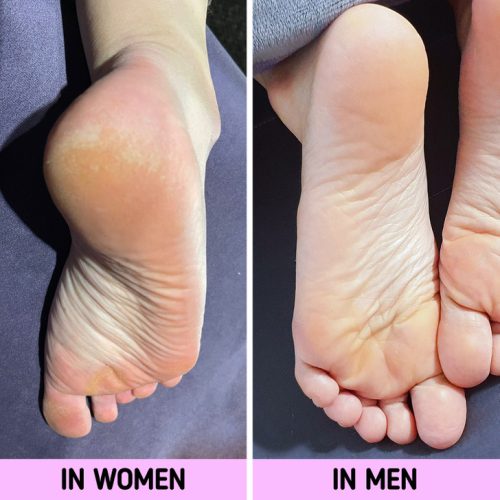 تفاوت میان زنان و مردان 2