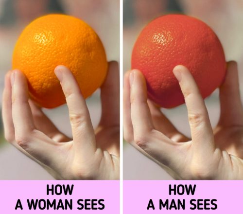 تفاوت میان زنان و مردان 4