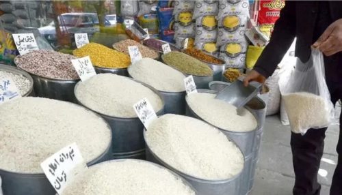 خرید و فروش برنج محلی