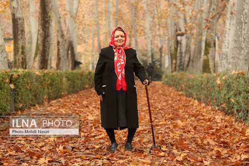 عکس هایی از مجوعه سعد اباد تهران 31