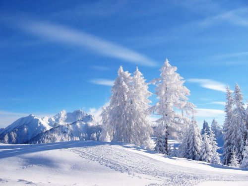 کلکسیون والپیپر زیبای مناظر زمستانی برای خوش کردن هوای دل تان 16