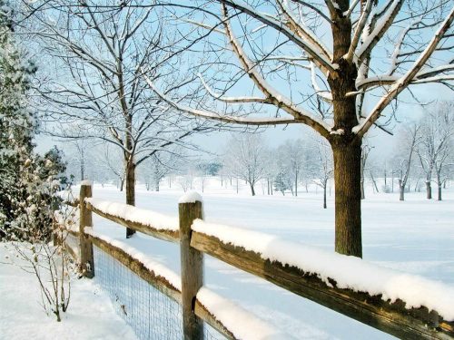 کلکسیون والپیپر زیبای مناظر زمستانی برای خوش کردن هوای دل تان 18