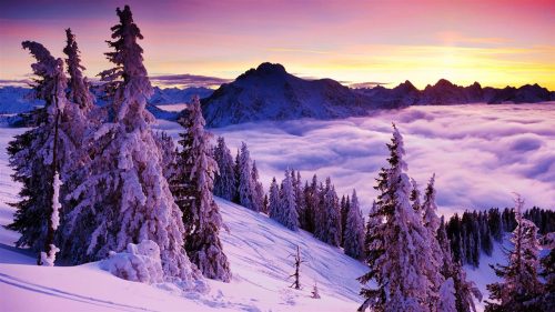 کلکسیون والپیپر زیبای مناظر زمستانی برای خوش کردن هوای دل تان 4