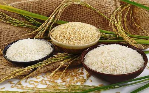 روش تشخیص برنج کهنه و نو، کدام برنج بهتر است؟