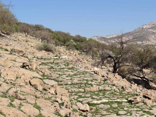 جاده سنگفرش باستانی بوالحیات دشت ارژن 1