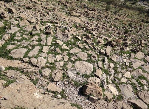 جاده سنگفرش باستانی بوالحیات دشت ارژن 2