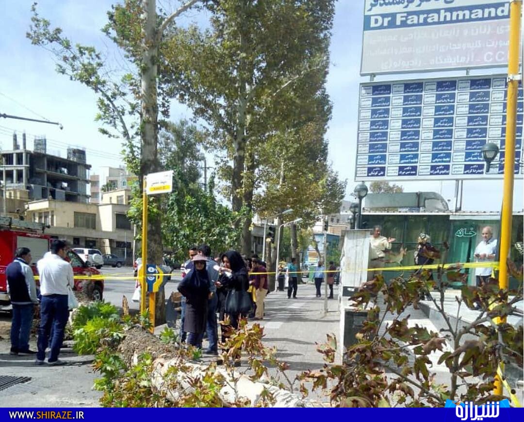افتادن درختی در شیراز یکی از شهروندان را روانه بیمارستان کرد+فیلم