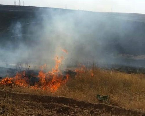 آتش سوزی های عمدی و مهیب جنگل‌های فارس و سکوت معنادار منابع طبیعی