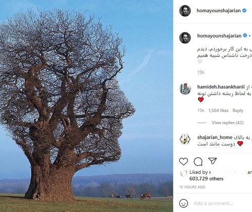 شباهت عجیب یک درخت به همایون شجریان +عکس