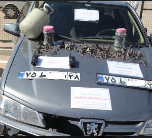 جنگ و گریز باند قاچاق سلاح با مامورین در محور “سپیدان-شیراز”