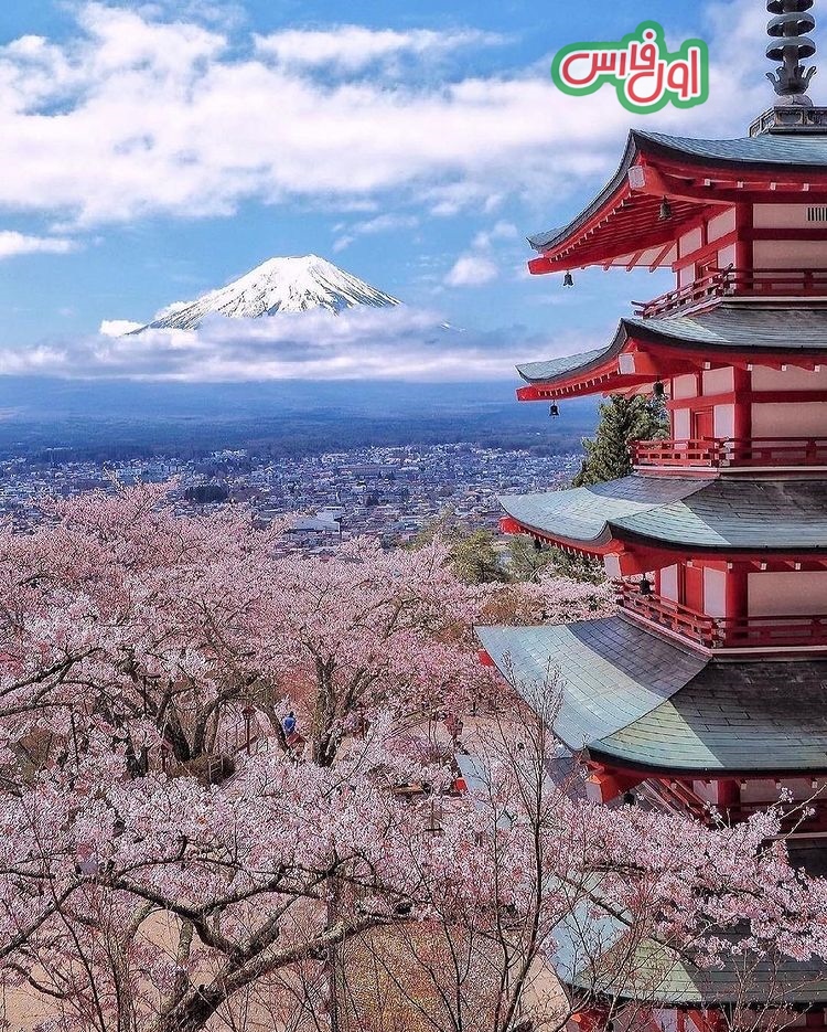 Cherry blossom overload Have you ever been to Japan when Cherry Blossom season 9