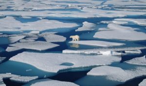 Greenland Ice Sheet1آب شدن یخ