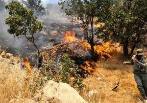 آتش سوزی مهیب جنگلها و مراتع در ارسنجان فارس+فیلم
