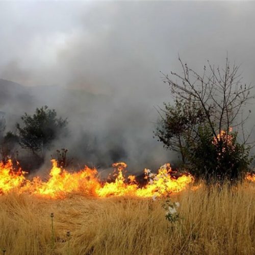 آتش سوزی وسیع جنگل های ارتفاعات تخته گیلکی فیروزآباد