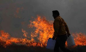 ادامه آتش سوزی مهیب مراتع و جنگلهای ارتفاعات کیلاق فارس