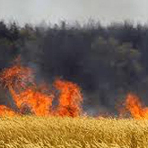 آتش سوزی در مراتع طبیعی و ارتفاعات ششده و قره بلاغ+جزئیات