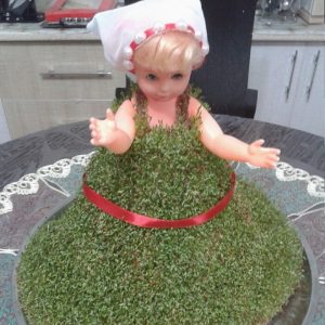 آموزش کاشت سبزه خاکشیر به شکل لباس عروسک