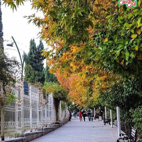 معروفترین خیابان ایران در شیراز که هیچ مغازه ای در آن نیست+تصاویر