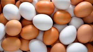 در باره تفاوت تخم مرغ‌های سفید با قهوه ای بیشتر بدانیم