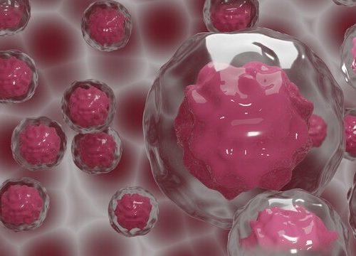 روش جدید درمان سرطان خون با حمله به یک ژن خاص