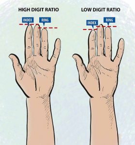 رابطه غذا خوردن با طول انگشتان دست